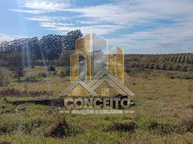 #27 - Sítio para Venda em São Pedro - SP - 2