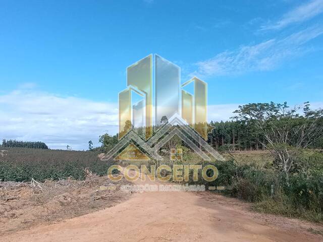 Sítio para Venda em São Pedro - 4