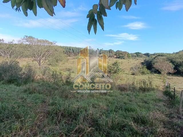 Sítio para Venda em São Pedro - 5