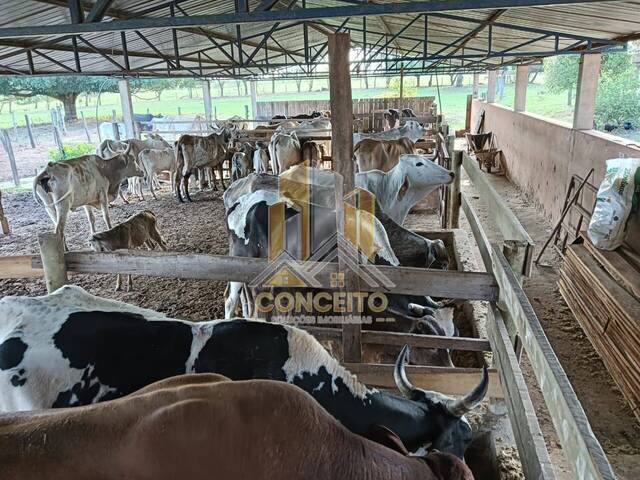 #32 - Fazenda para Venda em  -  - 2