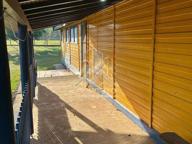 Chácara para Venda em São Pedro - 4