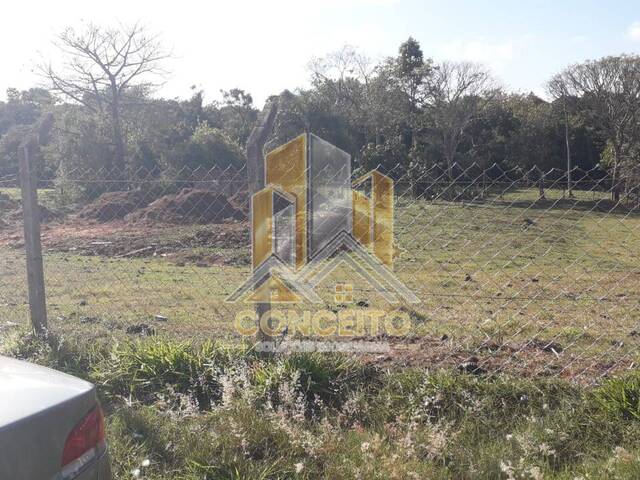 Área para Venda em São Pedro - 2