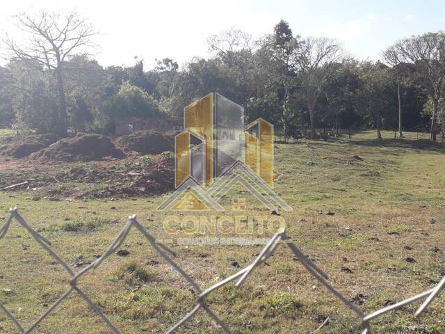 Área para Venda em São Pedro - 4