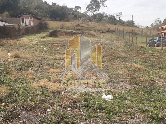 Área para Venda em São Pedro - 2