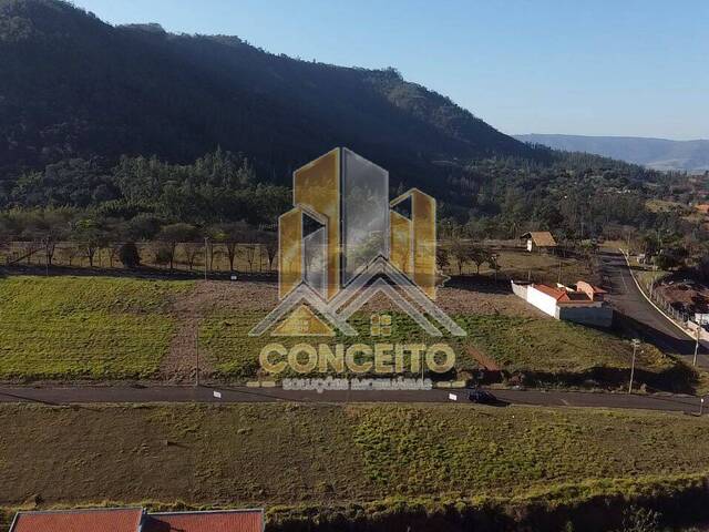 #T 61 - Área para Venda em São Pedro - SP