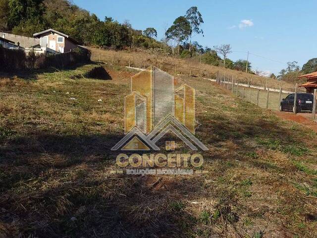 Área para Venda em São Pedro - 4