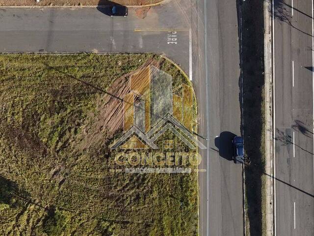 #T 67 - Área para Venda em São Pedro - SP