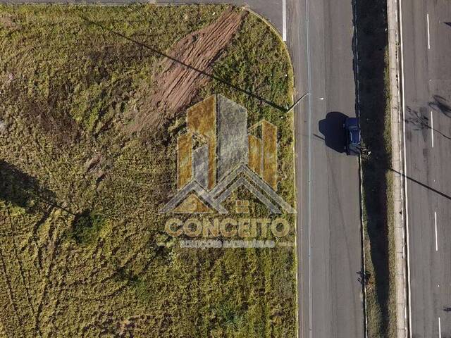 #T 67 - Área para Venda em São Pedro - SP