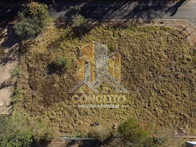 #T 86 - Área para Venda em São Pedro - SP - 2