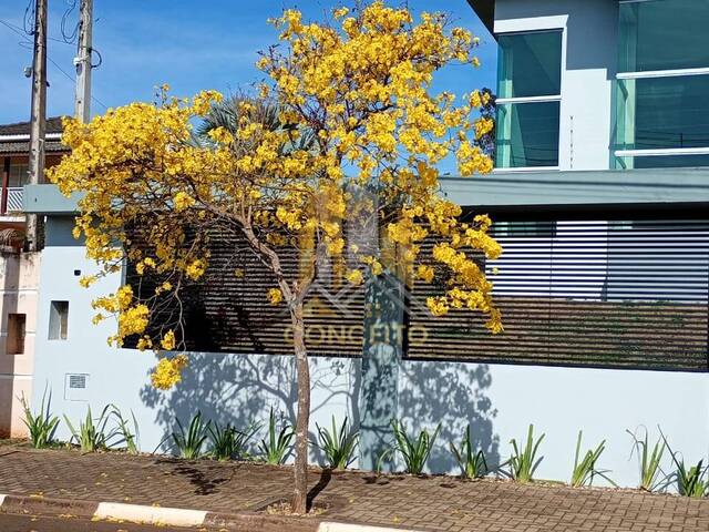 #C 55 - Casa para Venda em São Pedro - SP