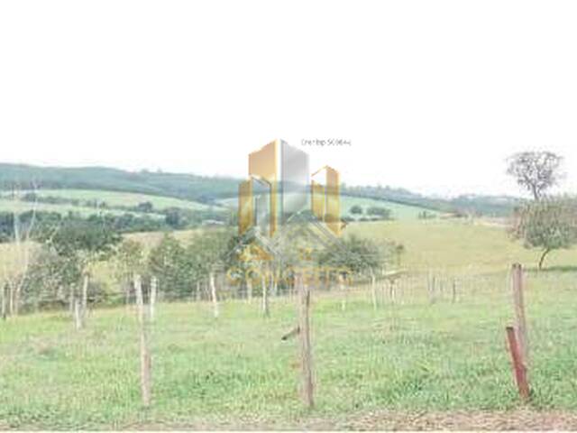 Área para Venda em São Pedro - 4