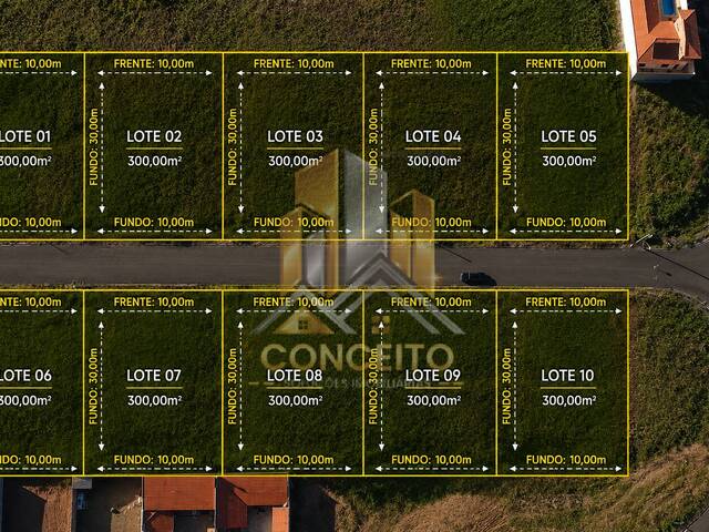 #T 110 - Área para Venda em São Pedro - SP