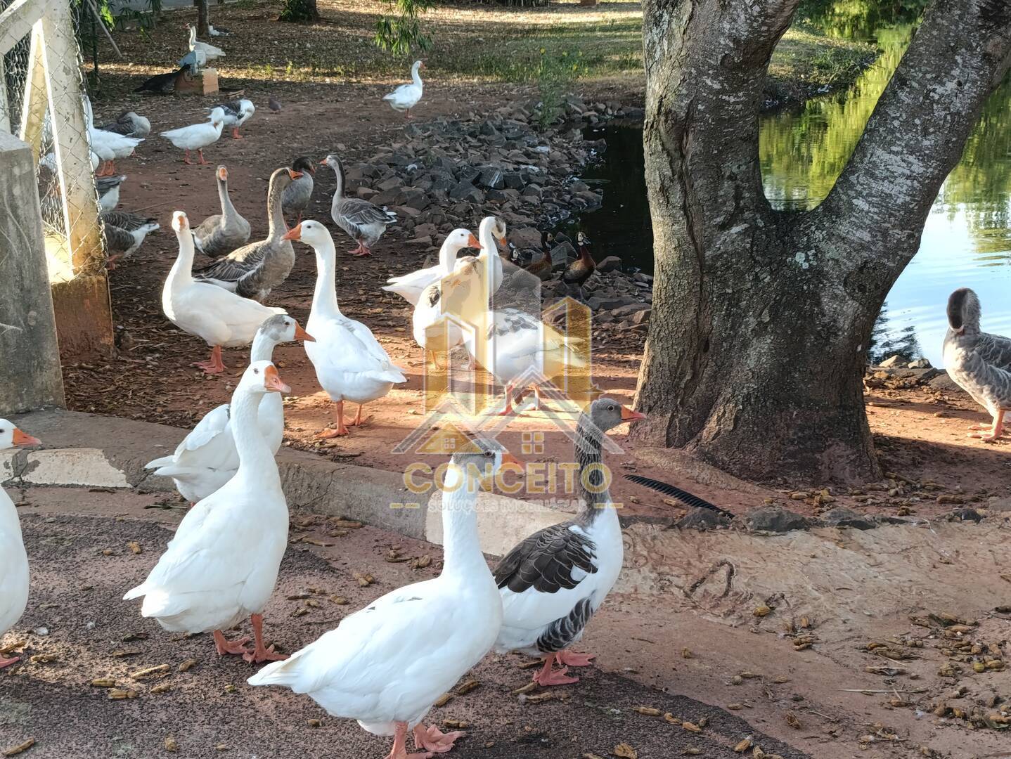 Casa, 3 quartos, 85 m² - Foto 30