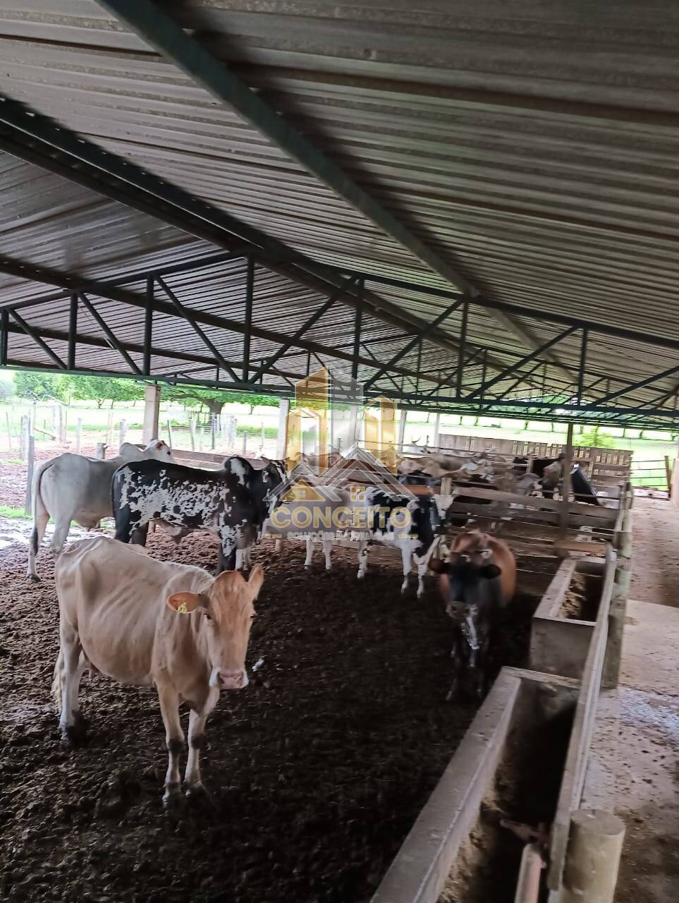 Terreno, 83 m² - Foto 3