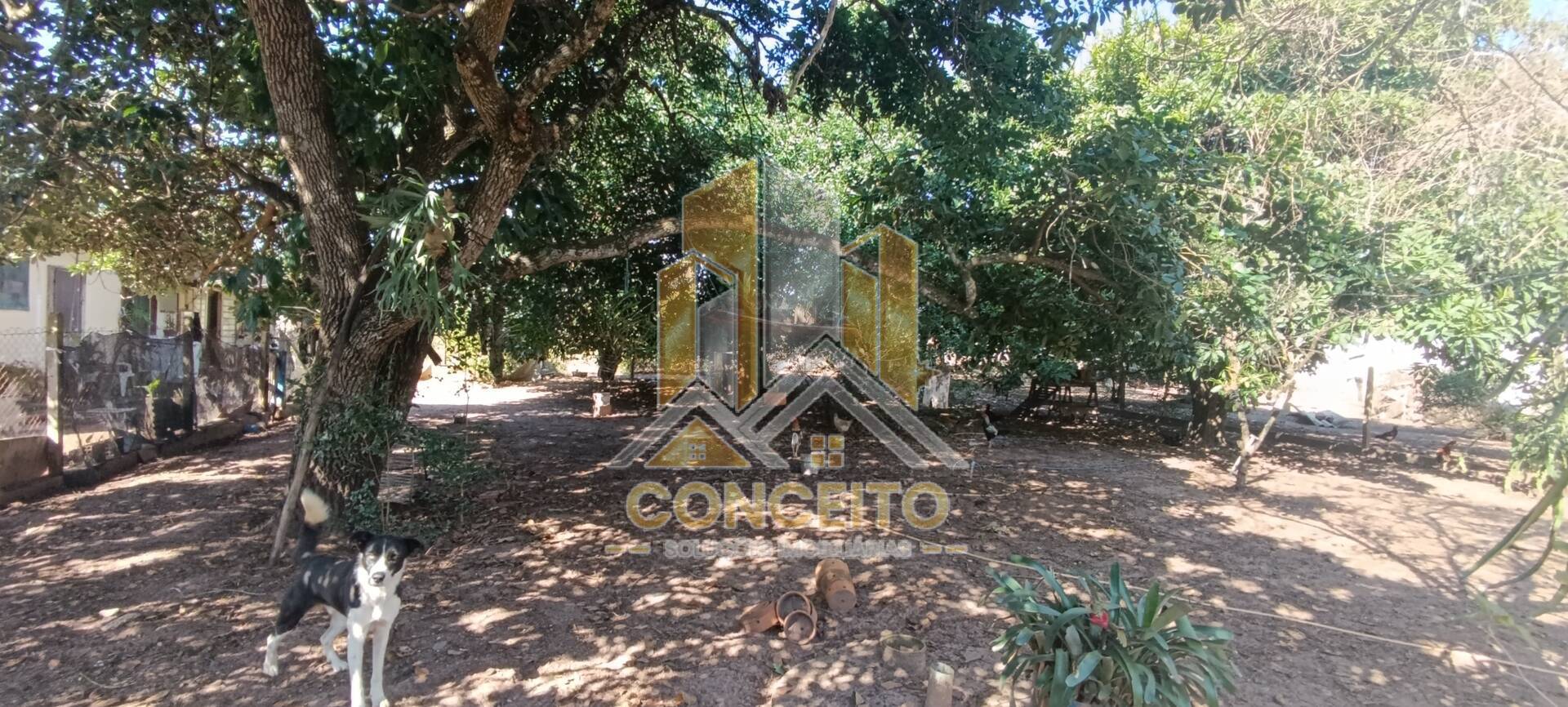 Chácara, 5 quartos, 5000 m² - Foto 44