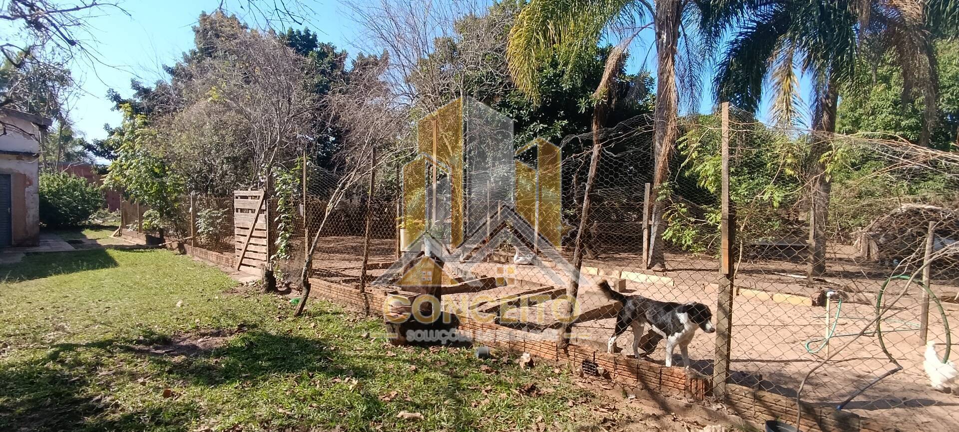 Chácara, 5 quartos, 5000 m² - Foto 45