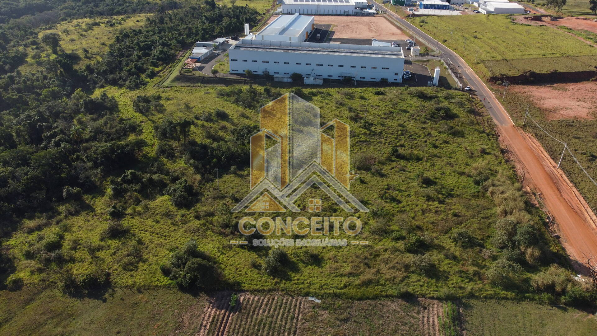 Terreno, 5 hectares - Foto 4