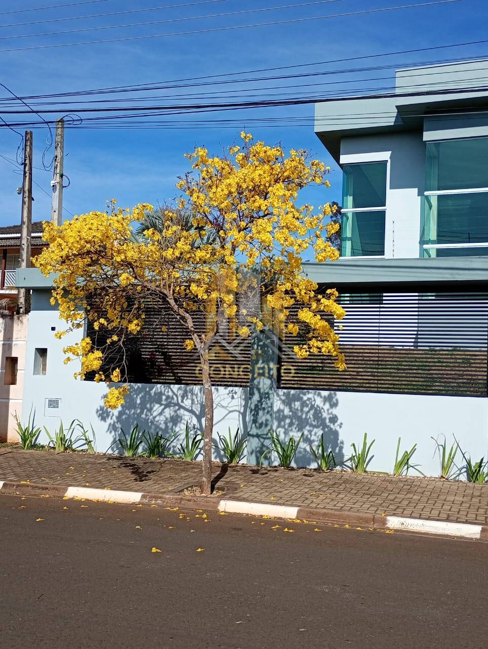 Casa, 300 m² - Foto 2