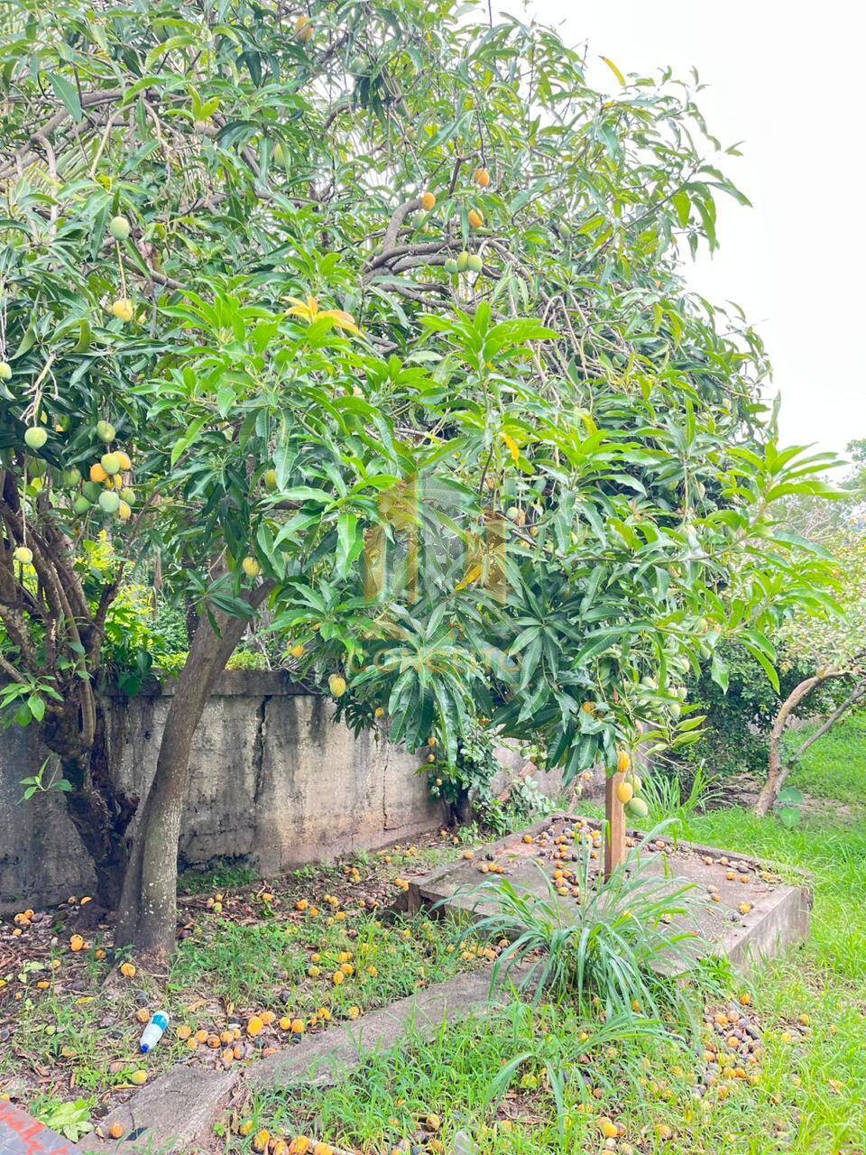 Casa, 4 quartos, 195 m² - Foto 14